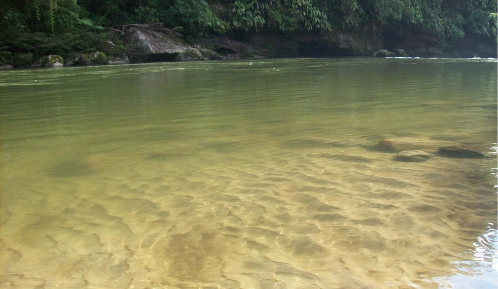 Playaselva Reserva Biologica Archidona Екстериор снимка