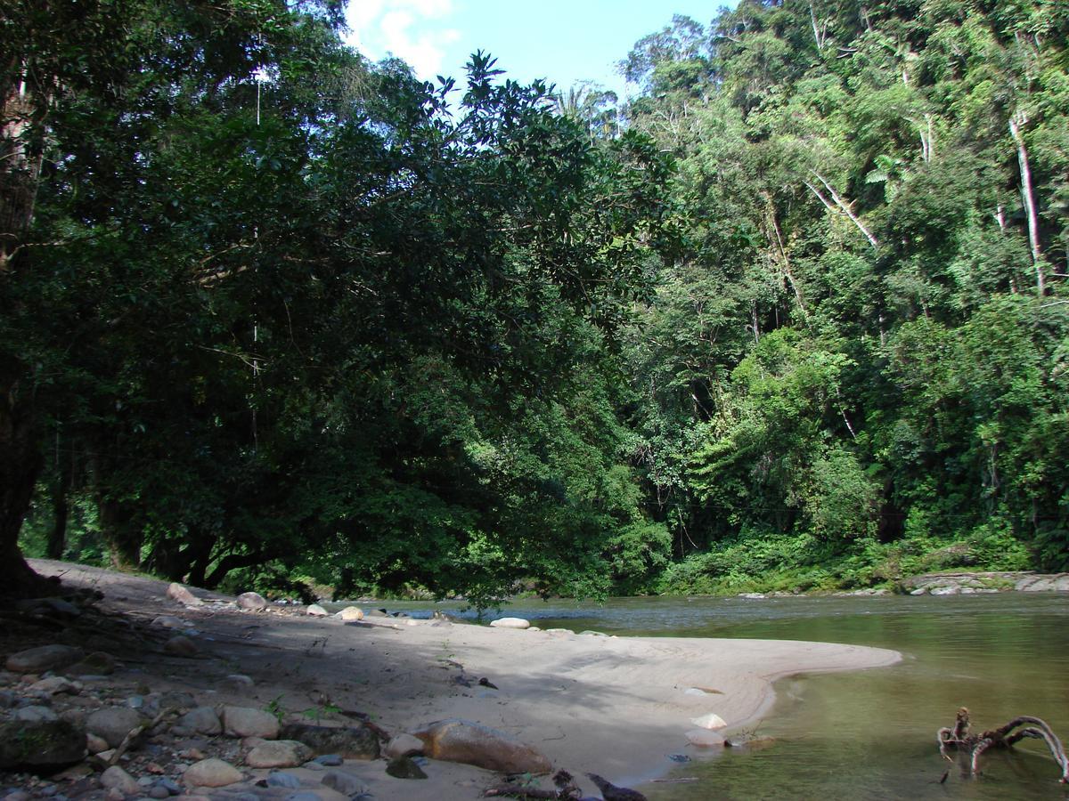 Playaselva Reserva Biologica Archidona Екстериор снимка