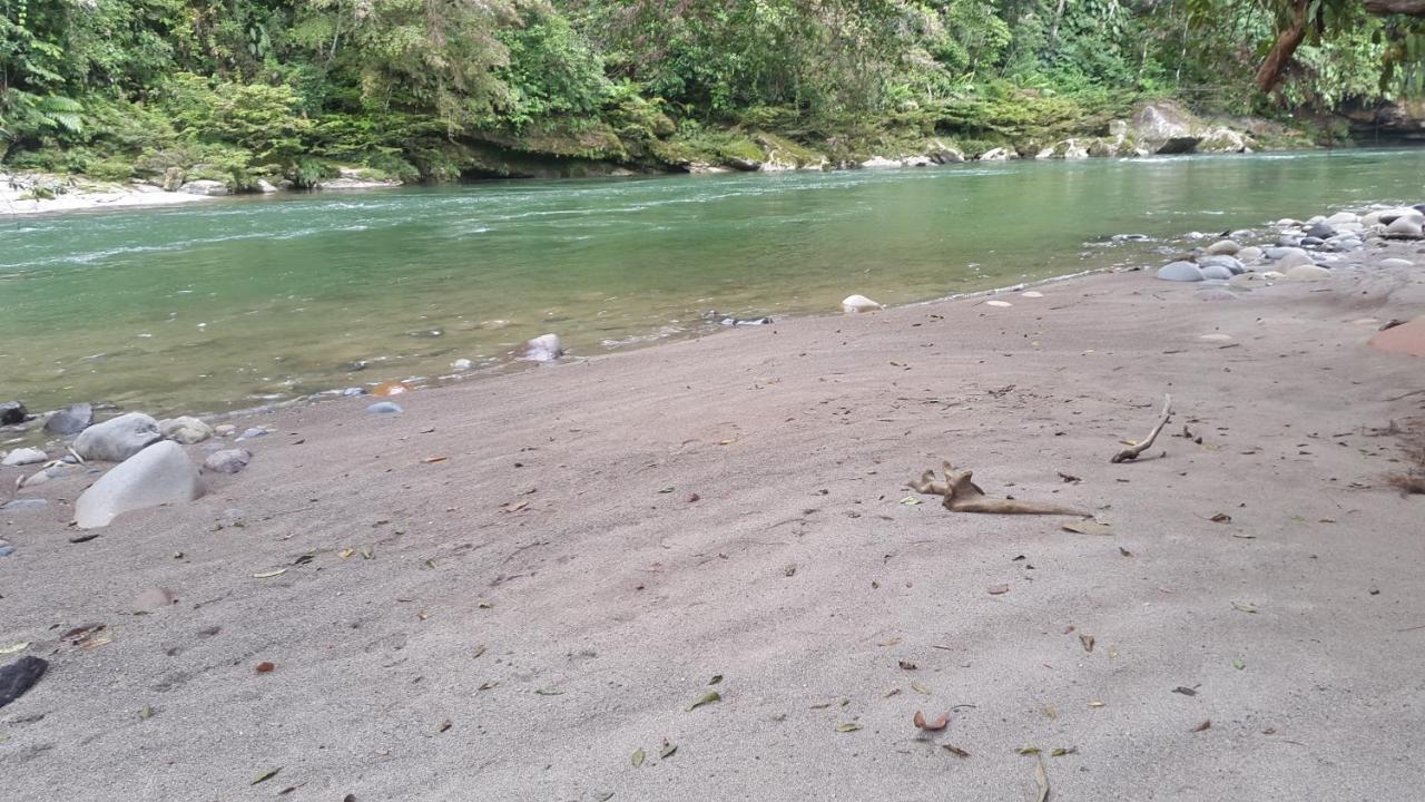 Playaselva Reserva Biologica Archidona Екстериор снимка